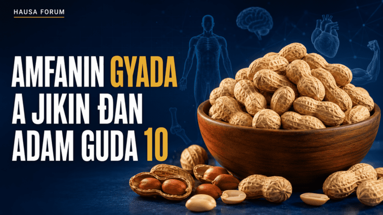 Amfanin Gyada A Jikin Ɗan Adam