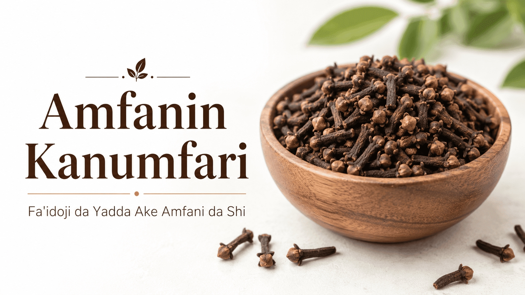 Amfanin Kanum Fari by hausa forum
