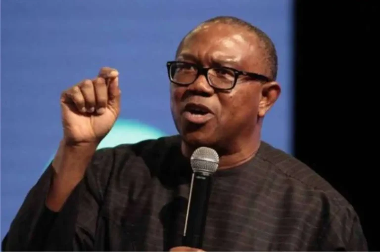 Tinubu ya gaji yana buƙatar ya huta — Peter Obi