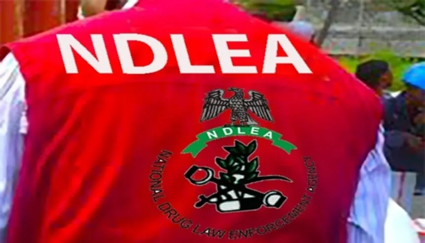 Sojoji sun kama mota maƙare da miyagun ƙwayoyi a titin Legas zuwa Calabar